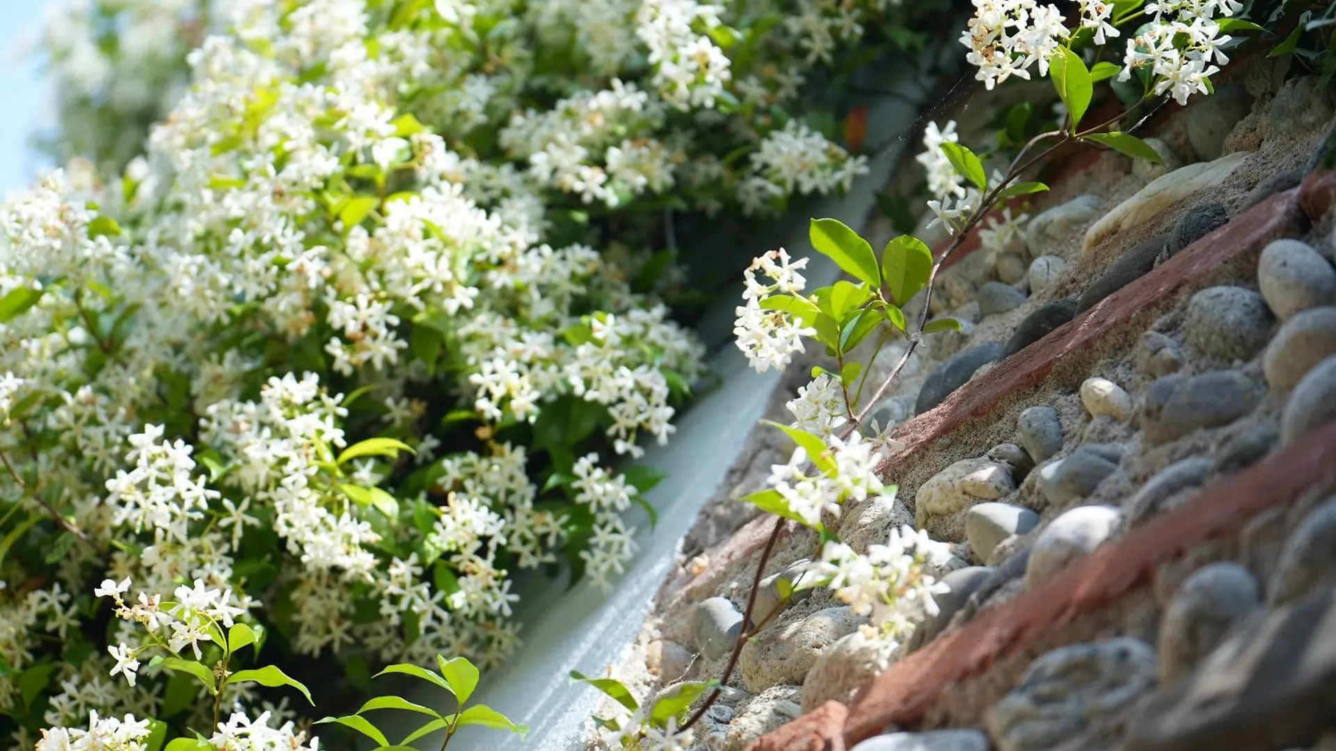 La Maison Jasmin - 8 Personnes - Parking Prive - Climatisation - Jardin Villa Toulouse Tatil Evi
